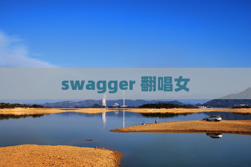 swagger 翻唱女